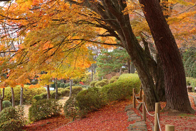 Shiroyama Park - Takayama