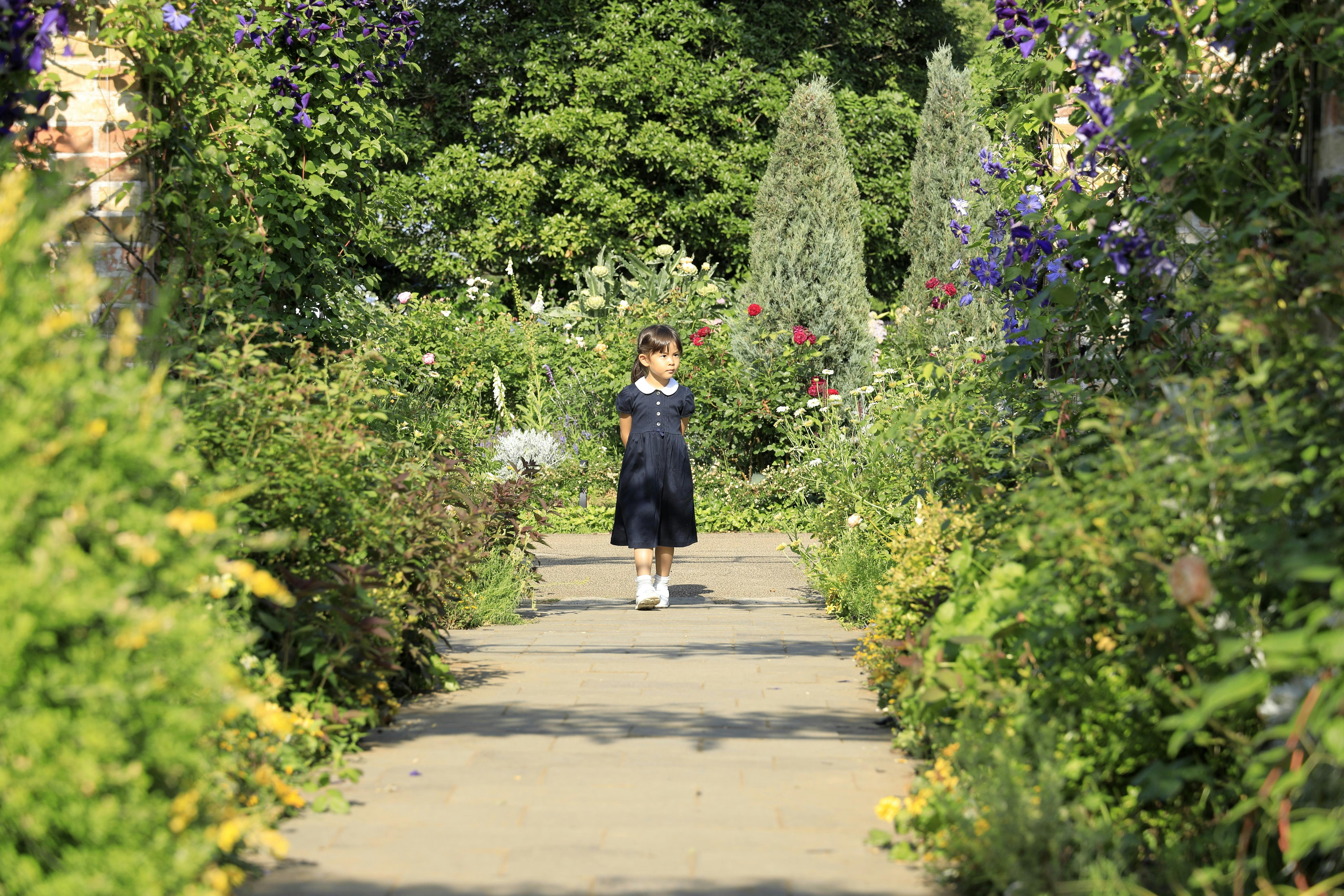 A young girl in a navy blue dress walks alone along a sunlit garden path surrounded by lush greenery, colorful flowers, and tall trees on a bright day.