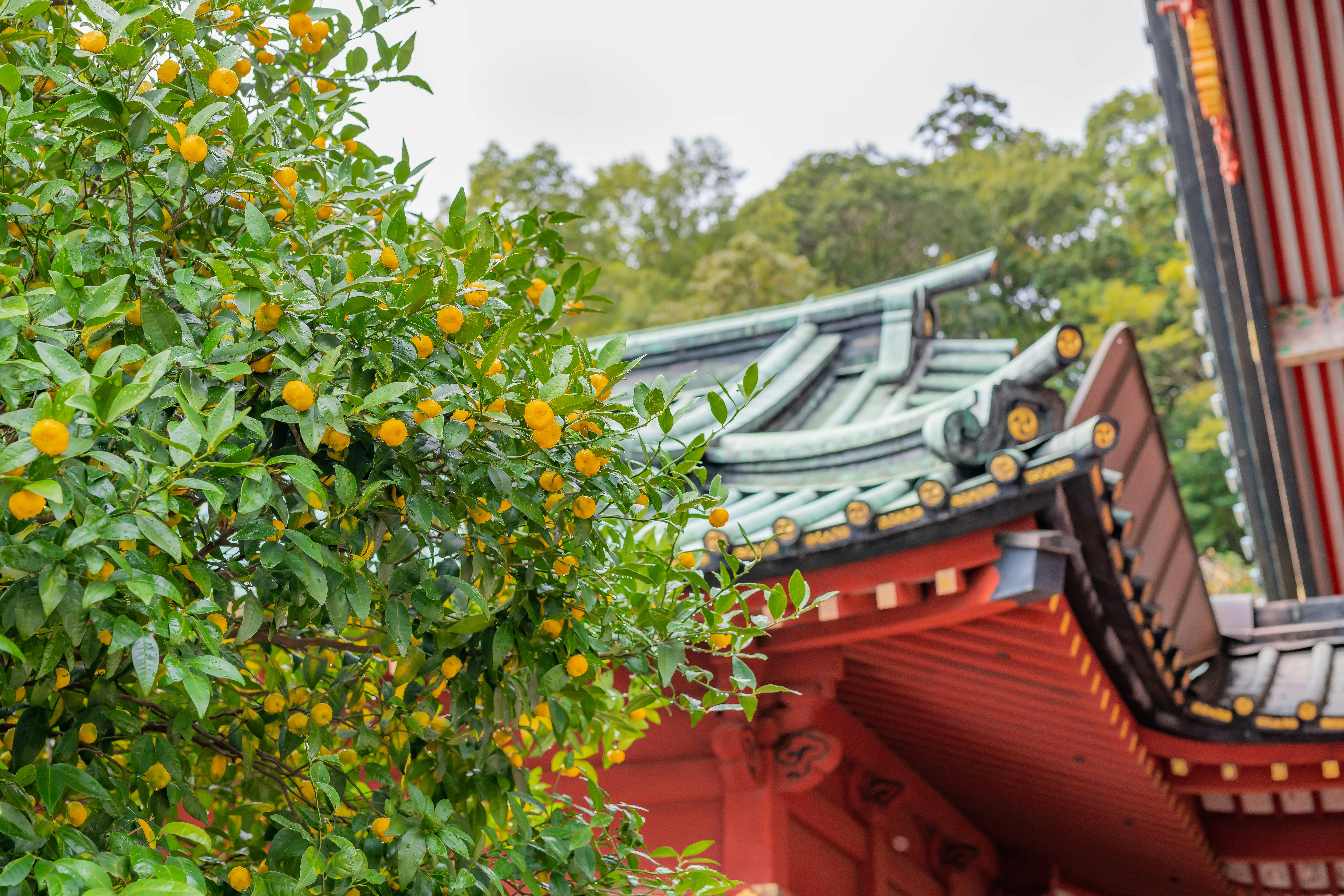 Shizuoka Sengen Shrine