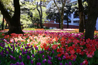 Yokohama Park