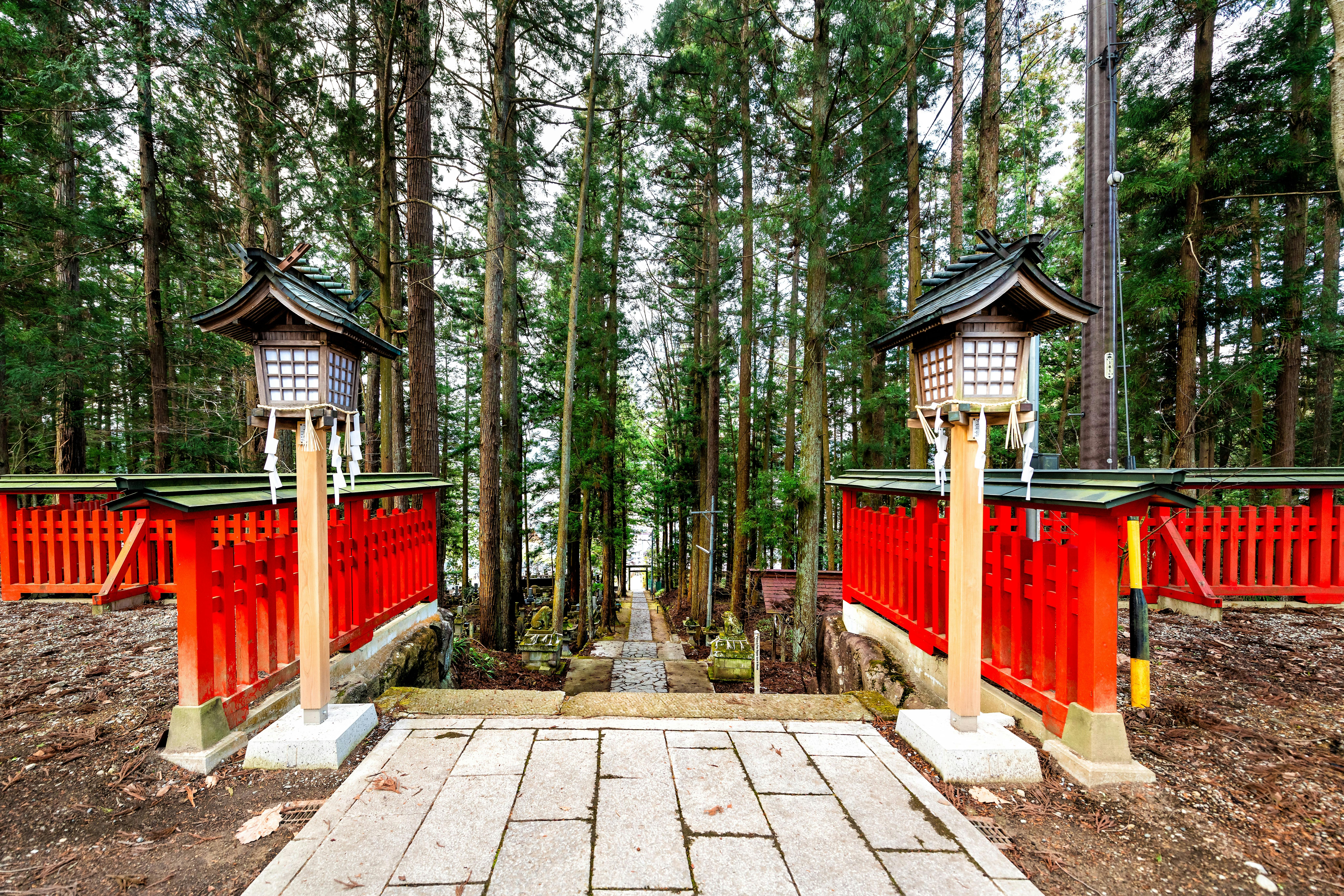 Stone pathway flanked by red wooden railings and traditional lanterns, leading through a dense forest of tall trees in a Japanese shrine setting.