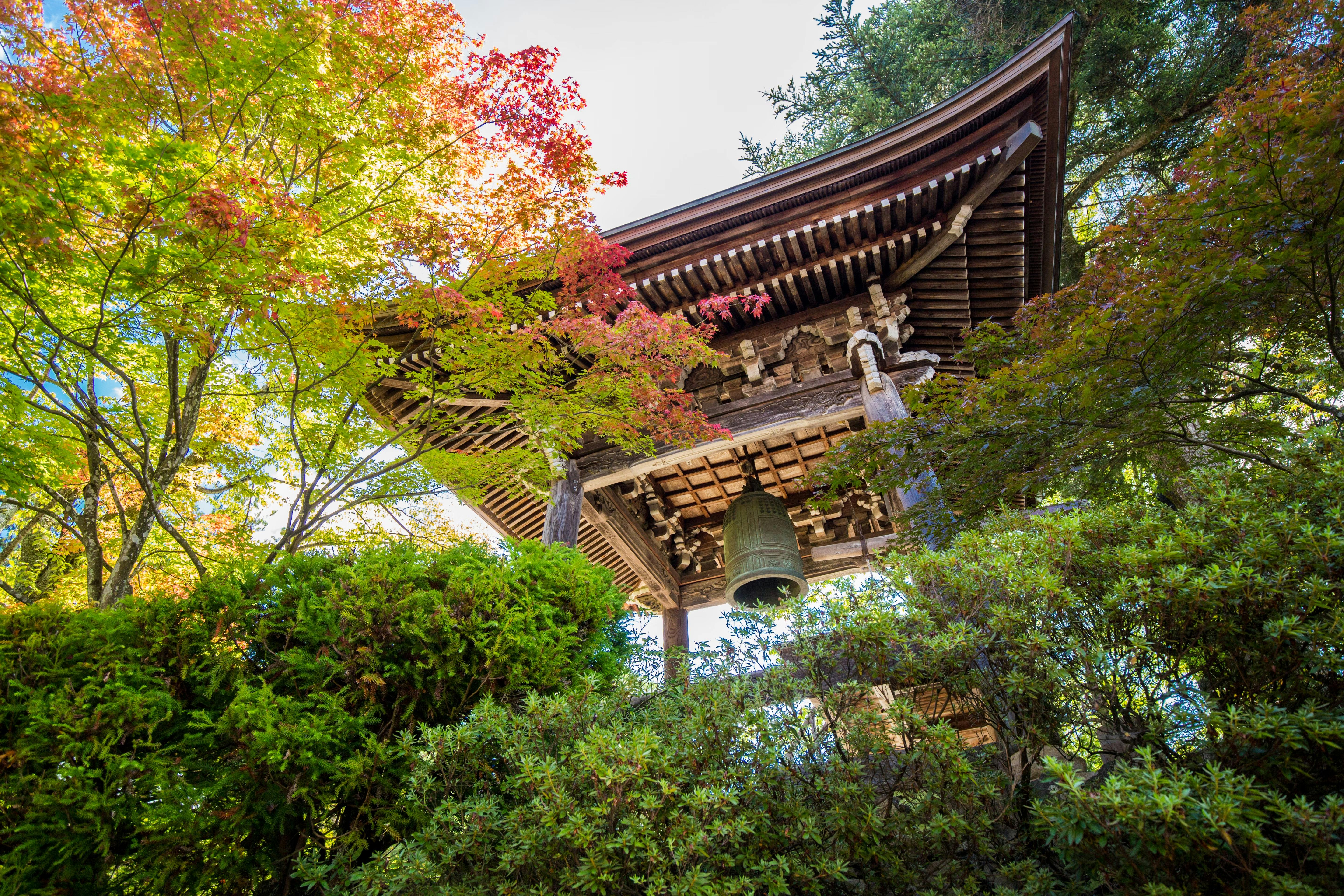 A traditional Japanese bell tower made of wood stands among lush green and red-leaved trees, viewed from below on a sunny day.