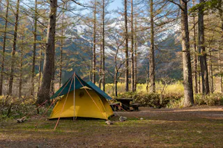 A yellow tent is set up in a forest clearing with tall trees, a wooden picnic table, and snow-capped mountains visible in the background under a clear sky.