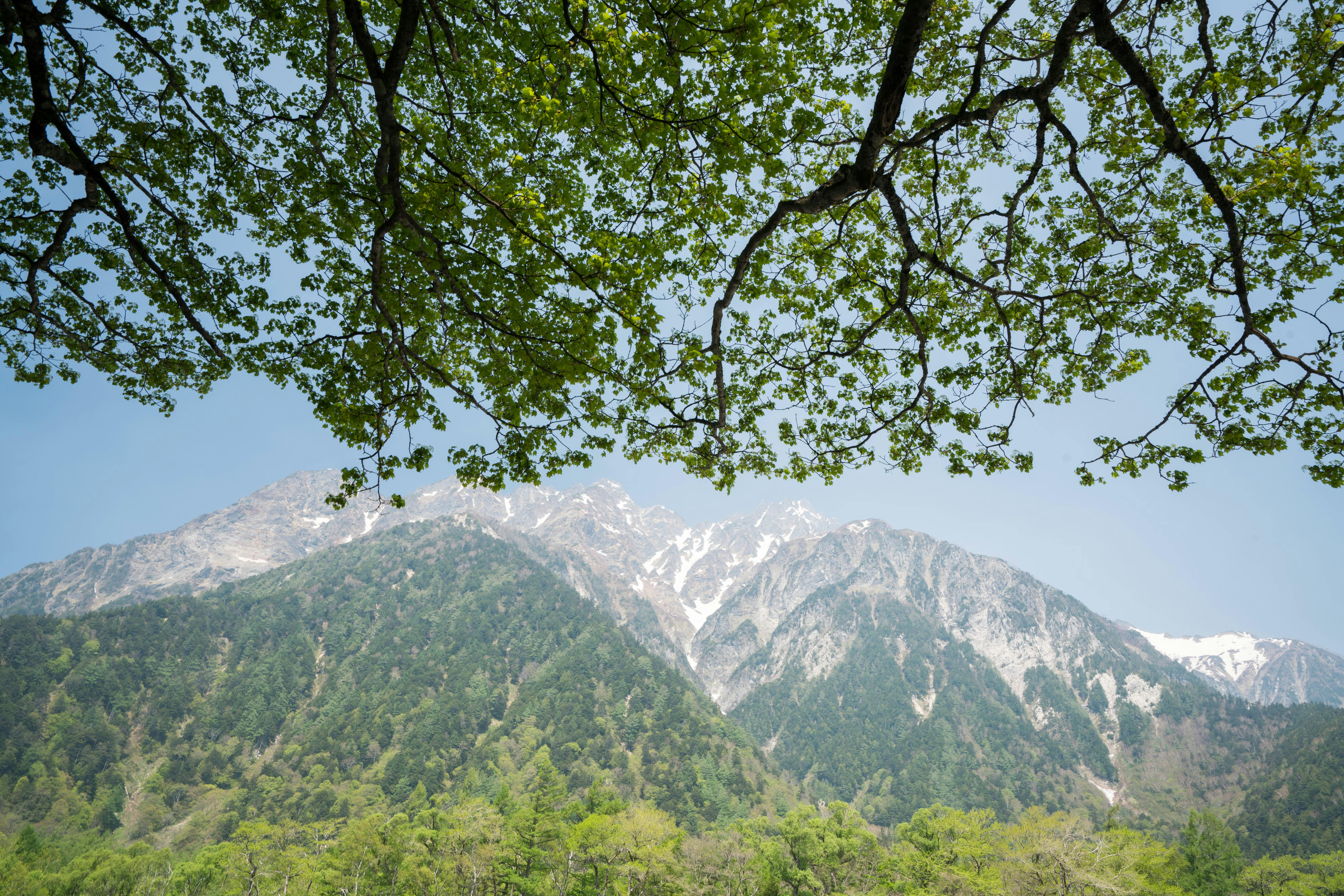 Tokusawa