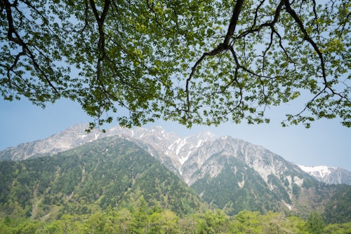 Tokusawa