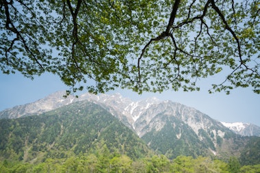 Tokusawa