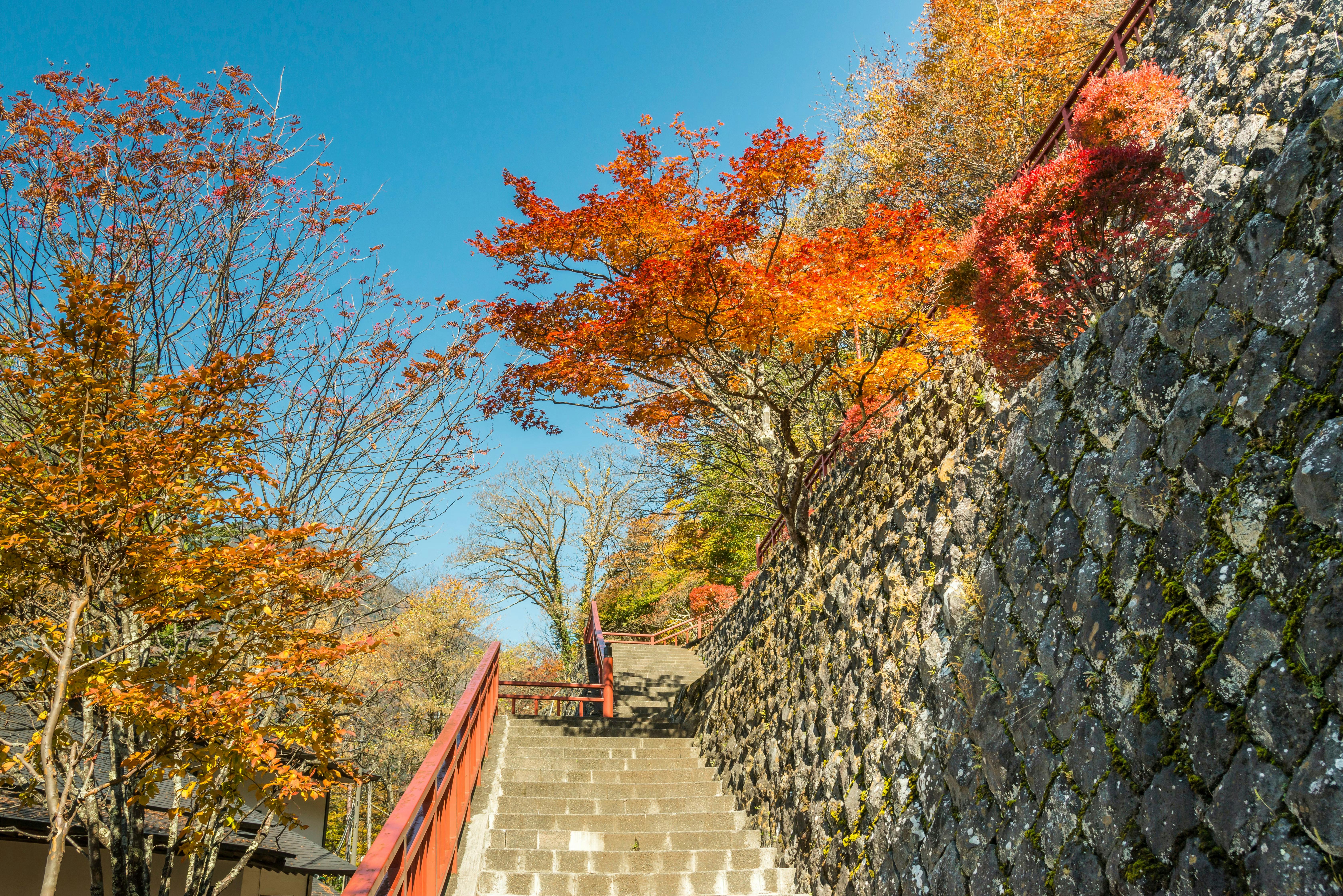 Stone steps with a red handrail lead upward beside a stone wall. Trees with vibrant autumn leaves in shades of orange and red line the path under a clear blue sky.