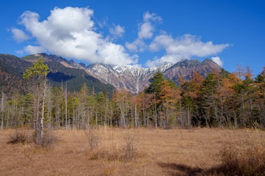 Tashiro Marsh