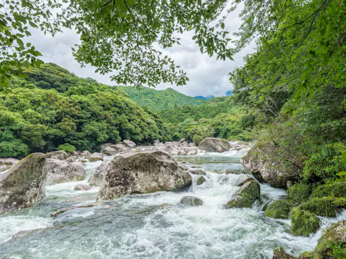 Yoggo Valley Yoggo Valley