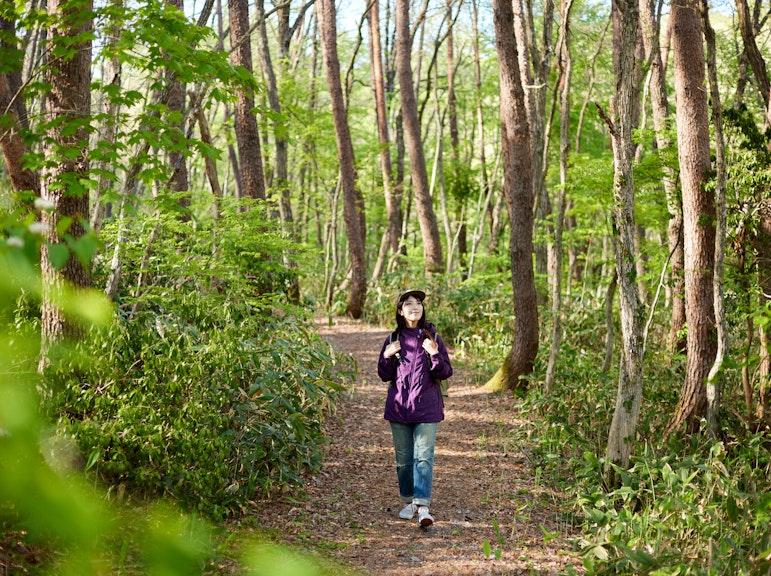朝霧の早朝ハイキングと素晴らしい景色を眺めながらのアウトドア茶会