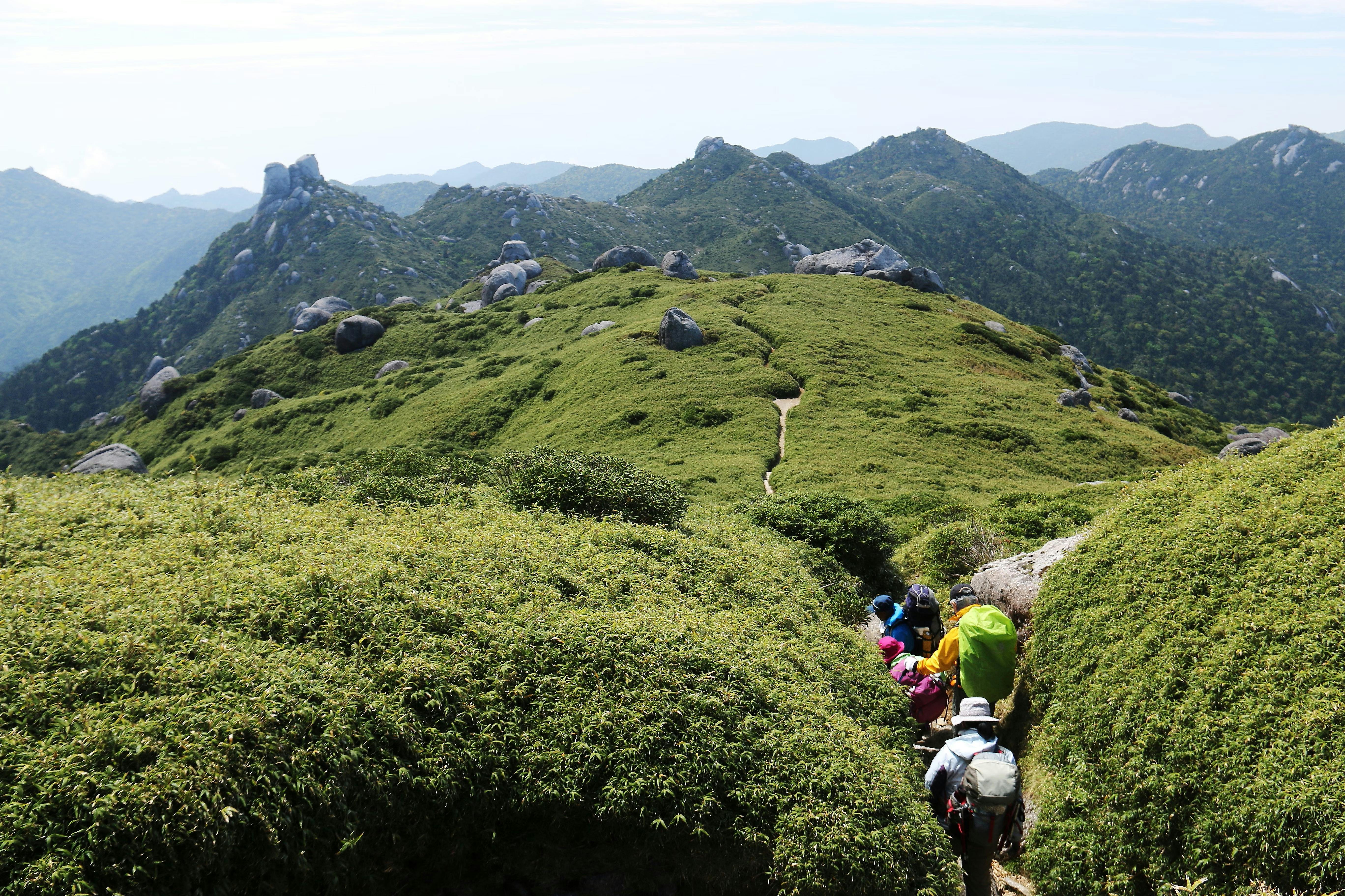 A group of hikers wearing colorful gear walks along a narrow trail surrounded by lush green bushes, with rolling mountains and rocky peaks visible in the background under a bright sky.