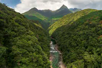 A lush green valley with dense forested hills and a clear river running through the center, with tall, pointed mountains in the background under a partly cloudy sky.