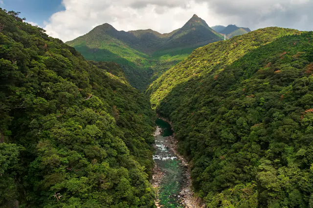 A lush green valley with dense forested hills and a clear river running through the center, with tall, pointed mountains in the background under a partly cloudy sky.