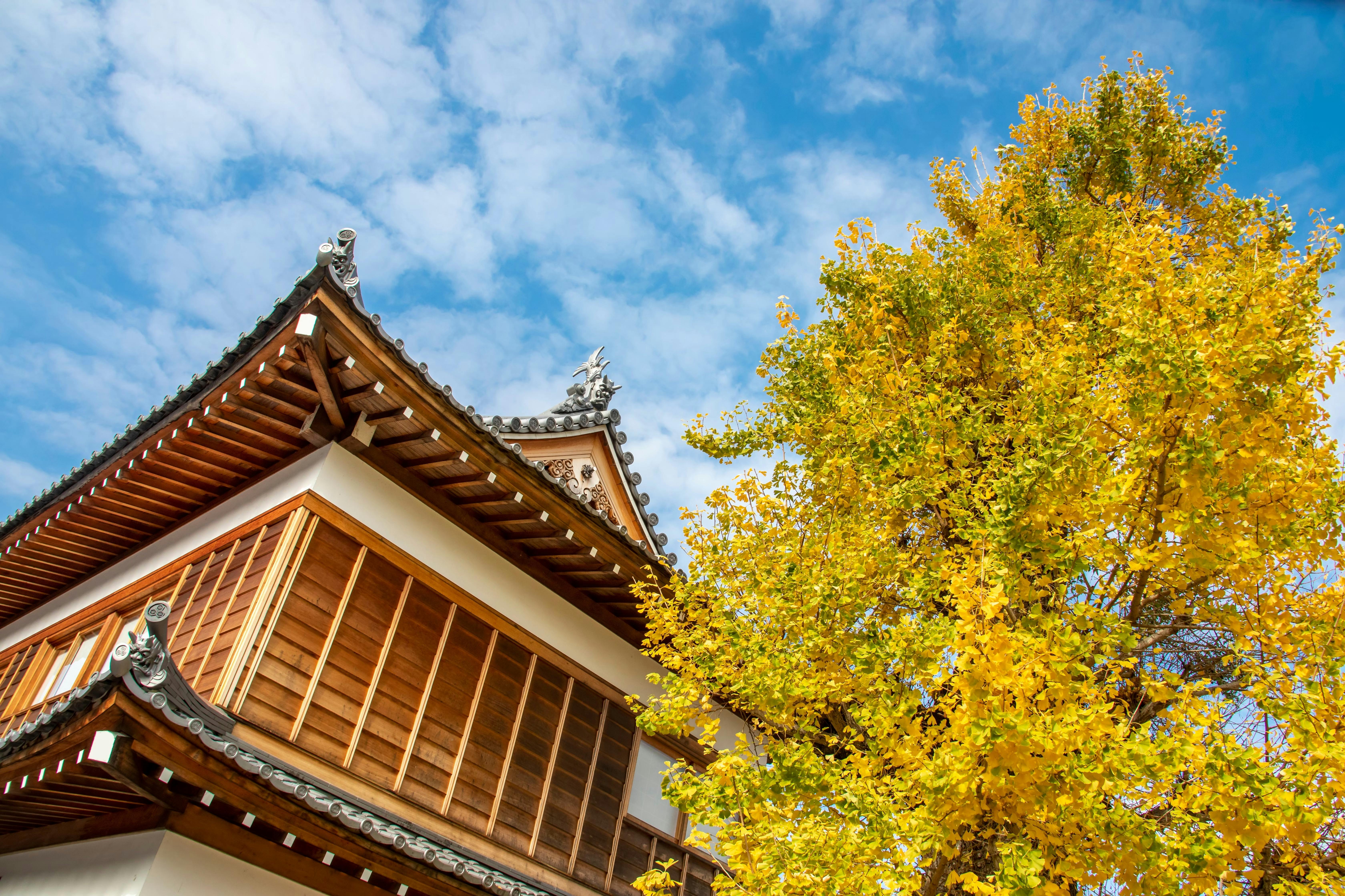 Traditional Japanese wooden building with ornate roof tiles next to a tree with bright yellow autumn leaves, set against a partly cloudy blue sky.
