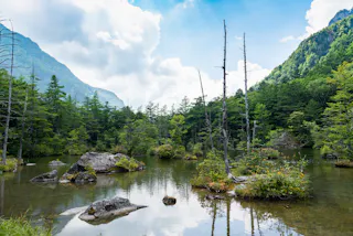 A serene mountain lake surrounded by lush green trees, rocky islands, and tall, leafless tree trunks under a partly cloudy sky, with mountains in the background.