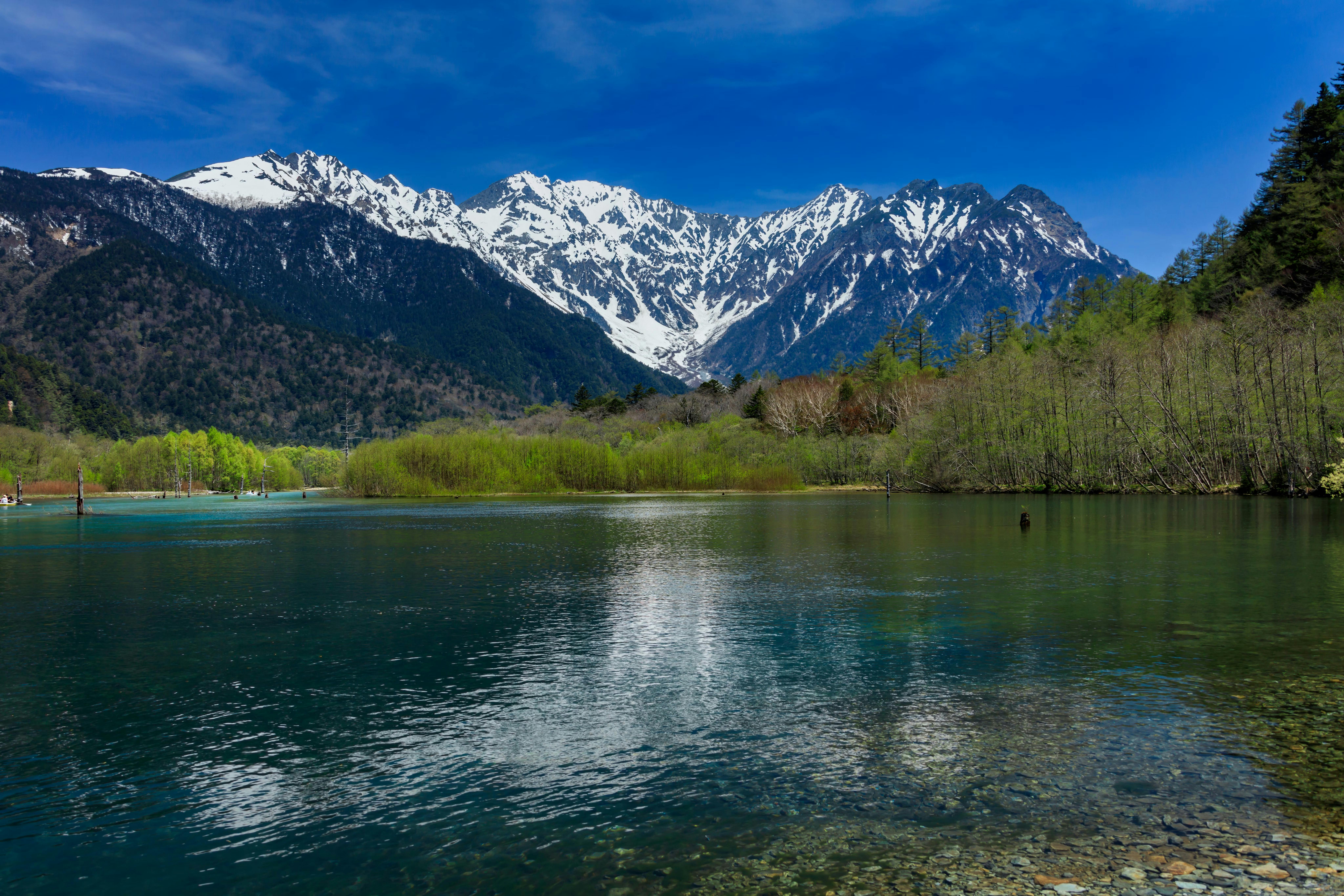 Taisho Pond (Taisho Ike)