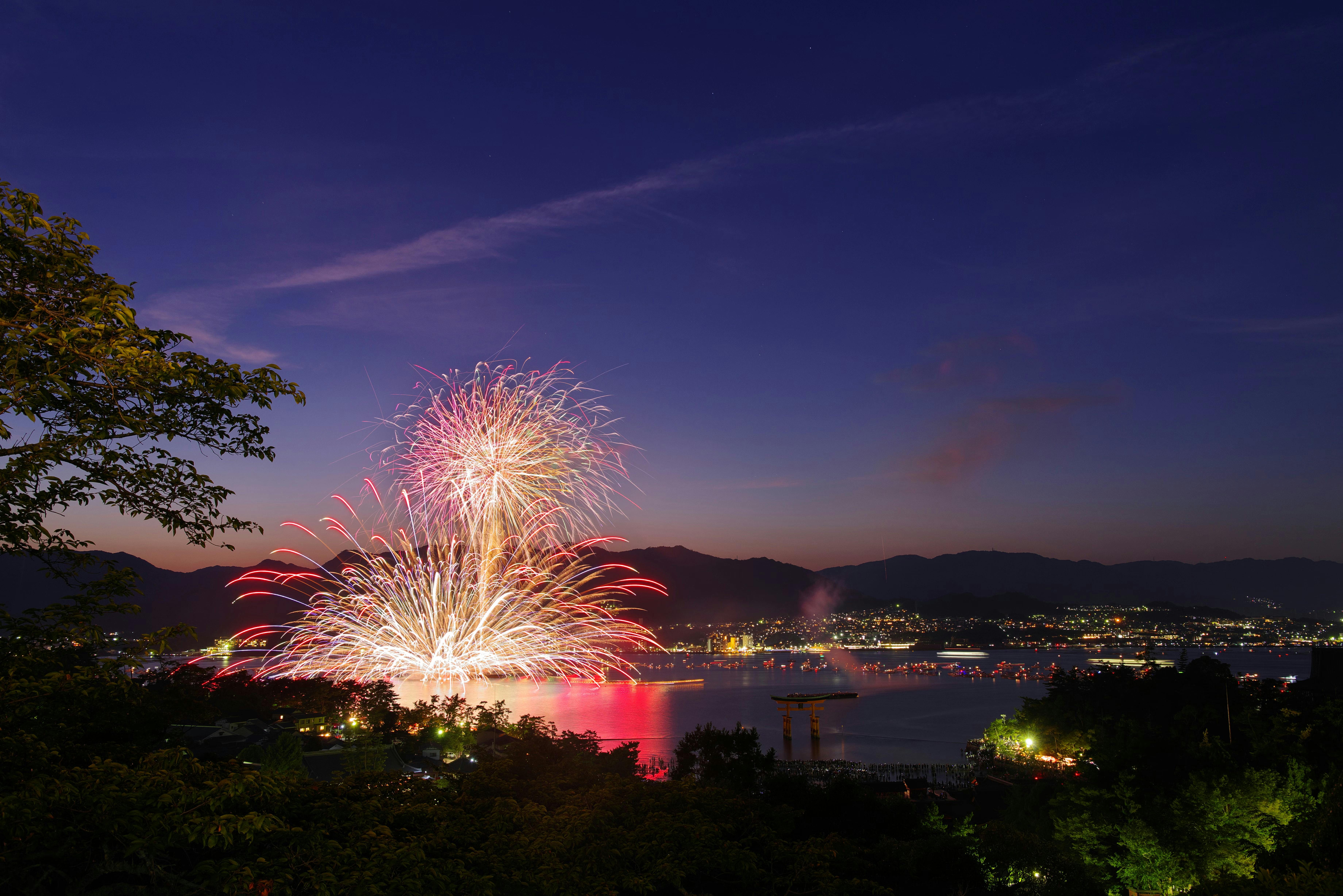Colorful fireworks light up the night sky over a calm bay, reflecting on the water, with city lights and mountains in the background. Trees frame the scene, and a torii gate stands near the shoreline.