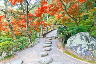 A stone path leads to a wooden bridge surrounded by lush green bushes and vibrant red maple trees in a serene Japanese garden.