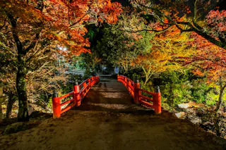 A red bridge crosses through a garden with vibrant autumn trees, their leaves lit up in shades of orange, red, and yellow, creating a warm, colorful nighttime scene.