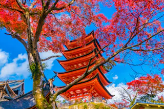 Toyokuni five-story pagoda