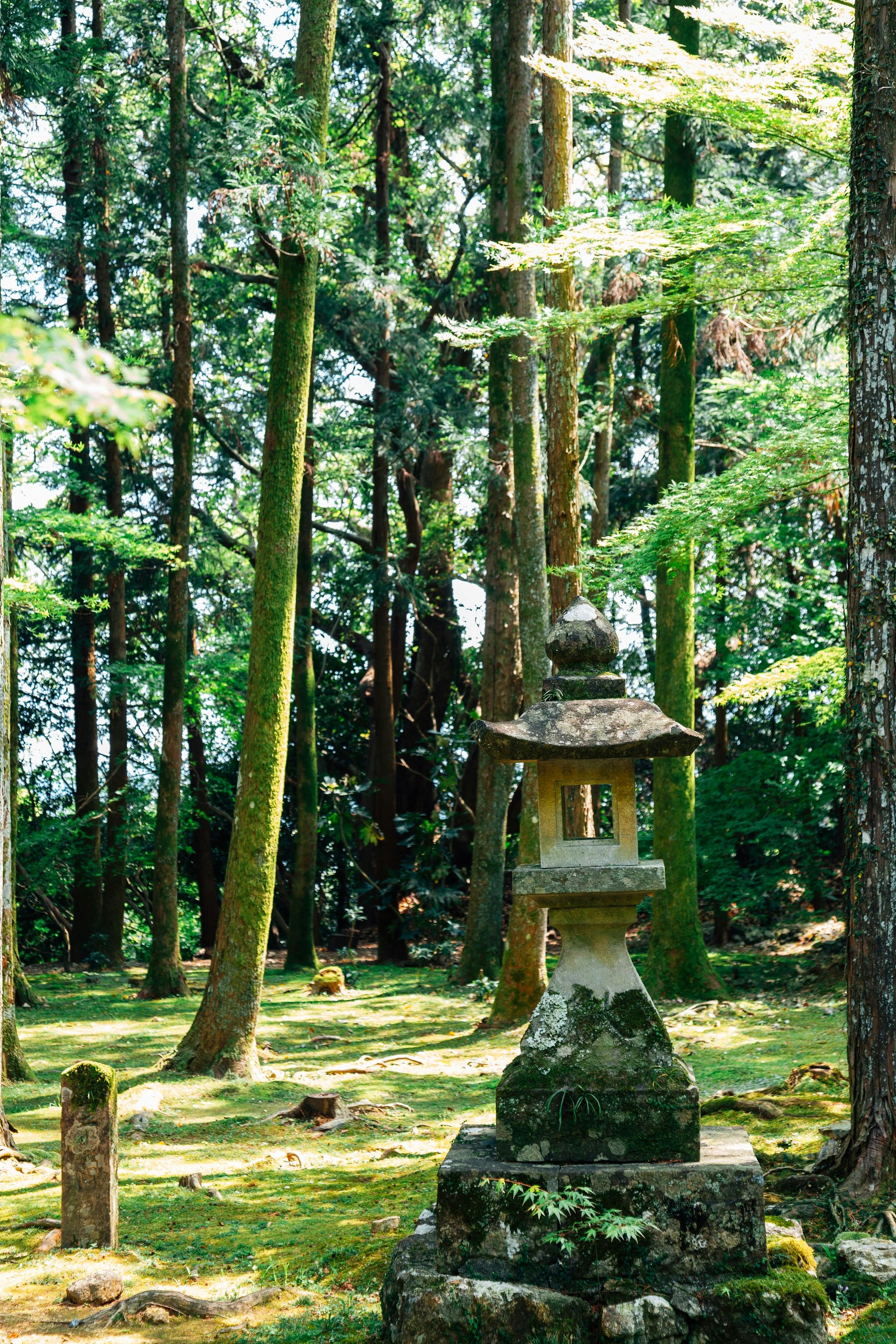 A traditional stone lantern stands among tall trees and lush green moss in a peaceful forest, with sunlight filtering through the leaves.