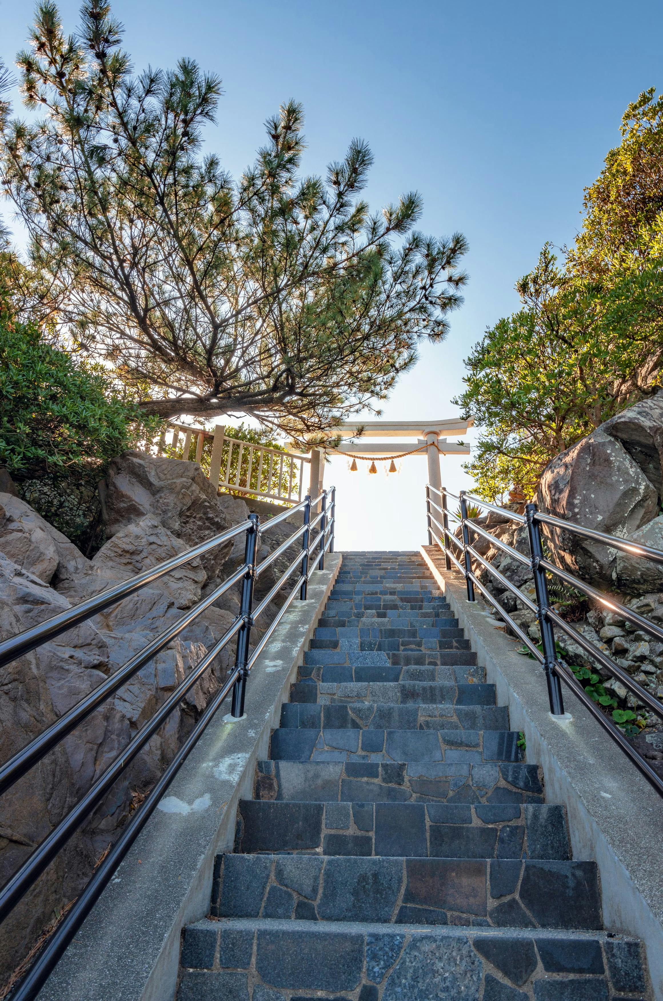 Stone steps with black railings lead upward between rocks and greenery toward a traditional Japanese torii gate. A pine tree extends over the steps, and the sky above is clear and blue.