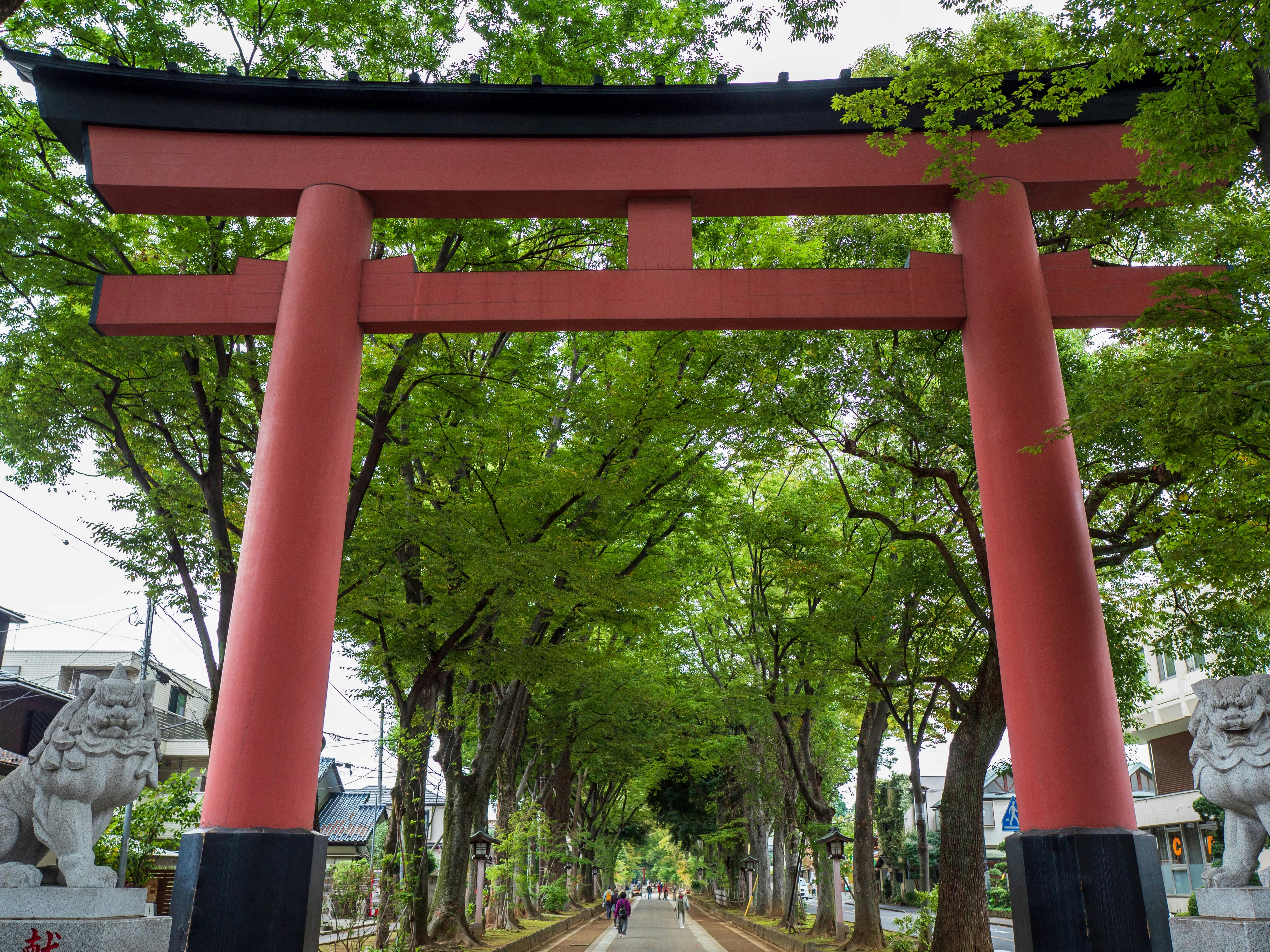 A large red torii gate stands at the entrance of a tree-lined pathway, with lush green foliage overhead and people walking in the distance. Stone lion statues are visible at the base of the gate.