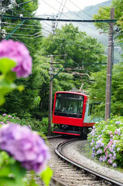 A red train travels along a curved track through lush green trees and blooming purple hydrangeas, with power lines overhead and misty mountains in the background.