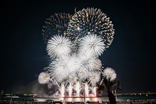 Large, bright fireworks burst in the night sky over water, illuminating the scene with white and gold sparks. Silhouettes of people and palm trees are visible in the foreground.