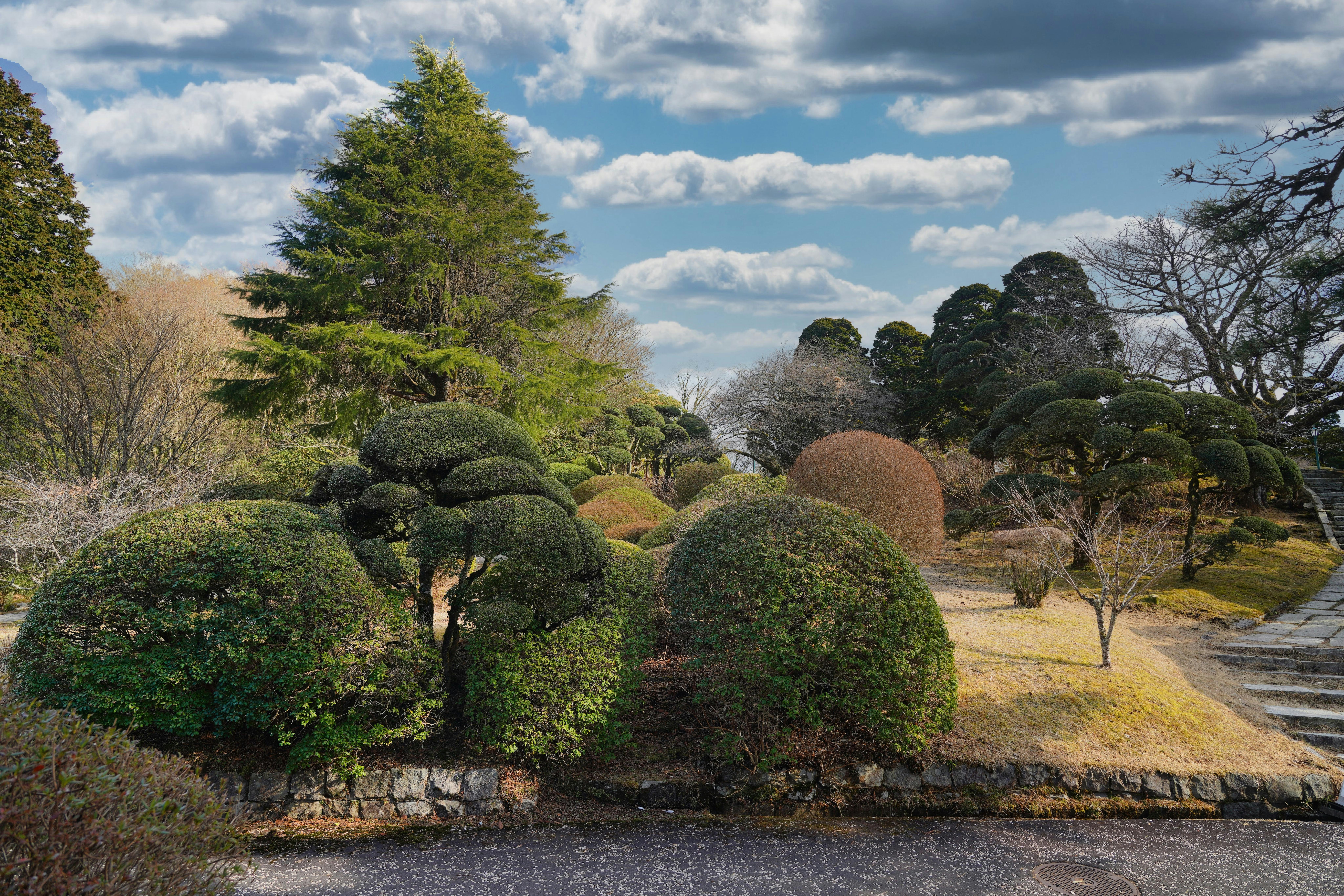 A serene Japanese garden with neatly trimmed bushes, various trees, and a stone pathway under a partly cloudy sky. The ground has patches of yellow grass and bare earth, creating a peaceful, natural scene.