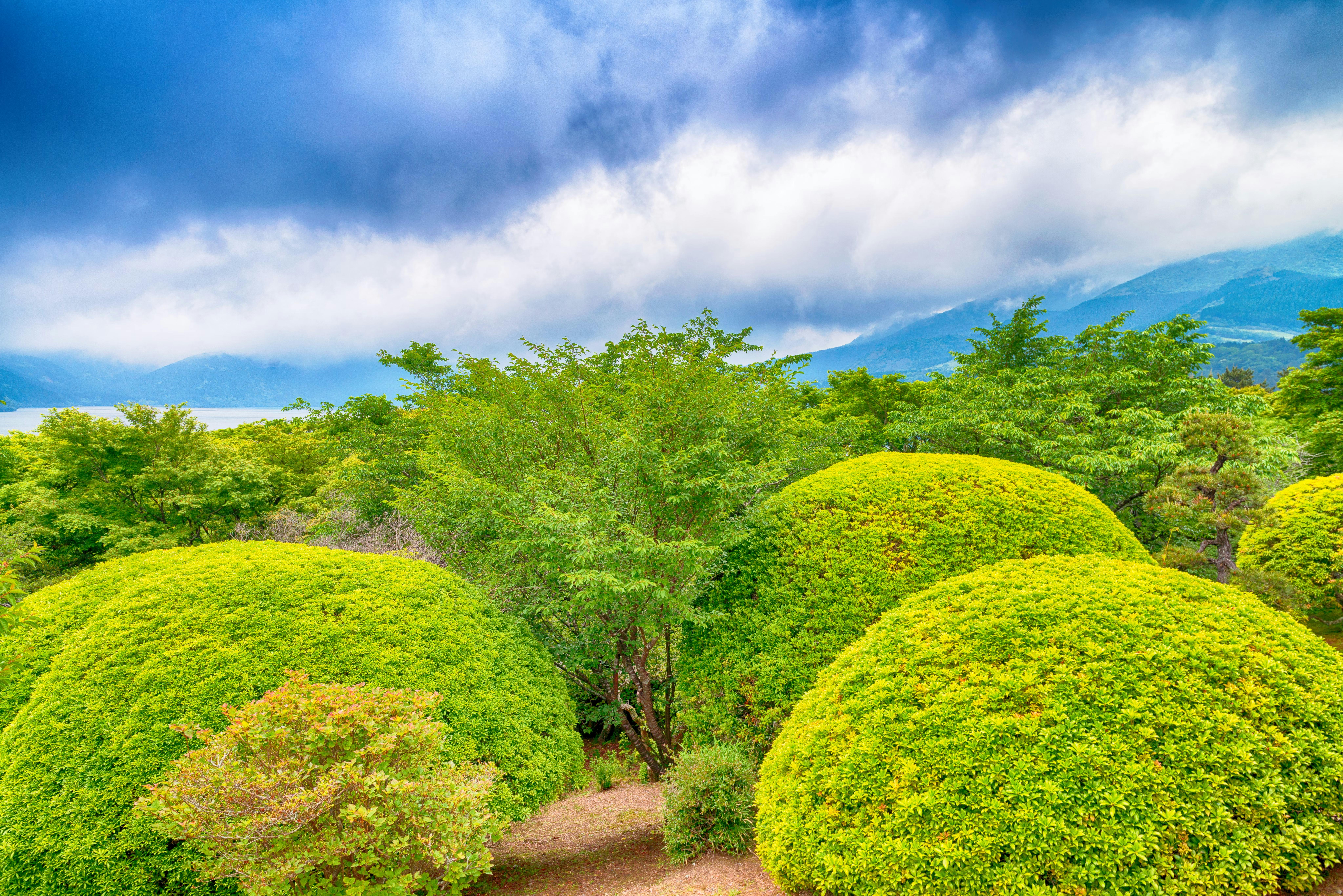 Lush, rounded green bushes and trees under a dramatic cloudy sky, with distant mountains and a hint of water visible in the background, creating a peaceful natural landscape.