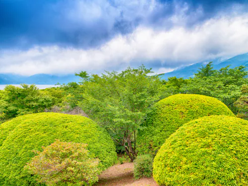 Onshi Hakone Park Lush, rounded green bushes and trees under a dramatic cloudy sky, with distant mountains and a hint of water visible in the background, creating a peaceful natural landscape.