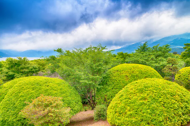 Onshi Hakone Park