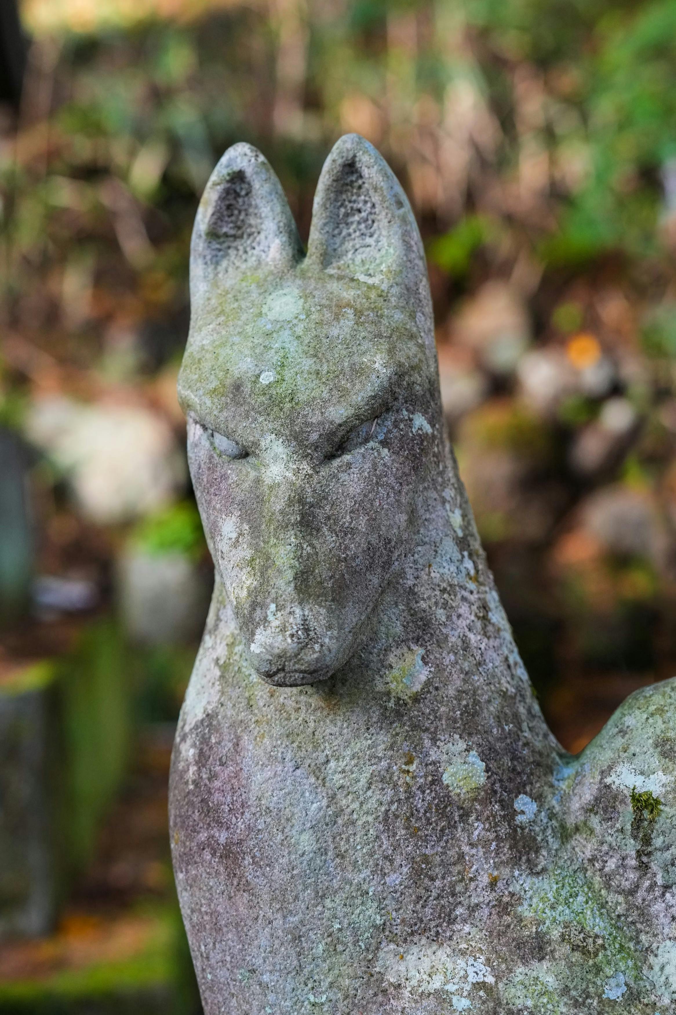 A weathered stone statue of a fox with upright ears and a focused expression, set against a blurred outdoor background with greenery and rocks.