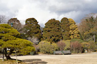 A tranquil garden scene with neatly trimmed bushes and tall, uniquely shaped trees. Two empty benches face the greenery under a cloudy sky, with sunlit patches on the grass and foliage.