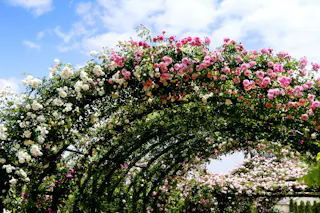 Yokohama English Garden