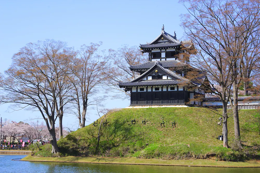 Takada Castle