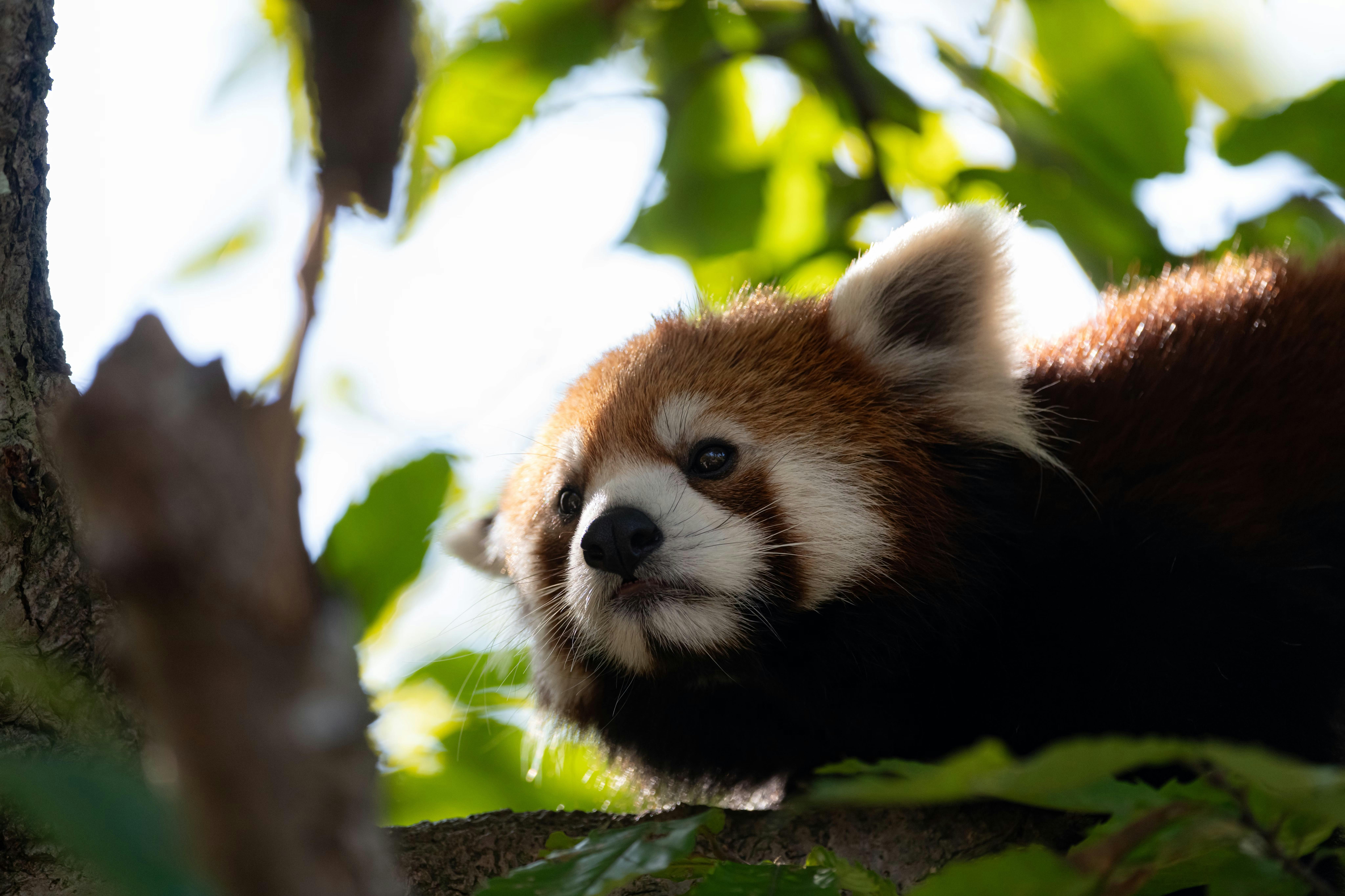 Yokohama Zoological Gardens “Zoorasia”