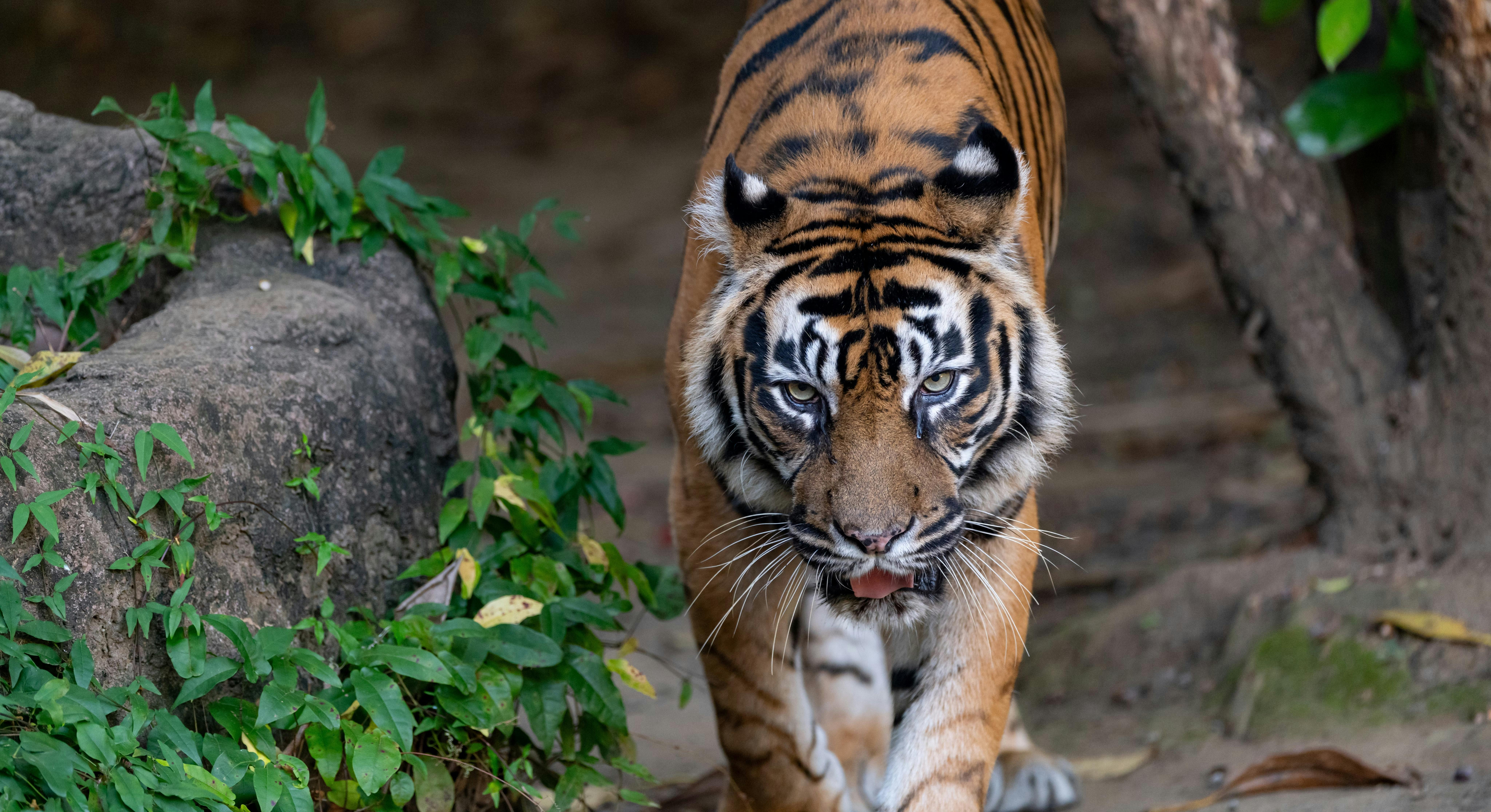 Yokohama Zoological Gardens “Zoorasia”