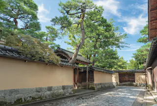 A quiet stone-paved path curves alongside traditional Japanese walls and wooden gates, shaded by tall green pine trees under a blue sky with scattered clouds.