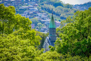 A church with a green steeple is partially hidden among lush green trees, with a hillside town featuring many houses visible in the background under bright daylight.