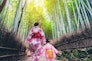 Arashiyama Bamboo Forest