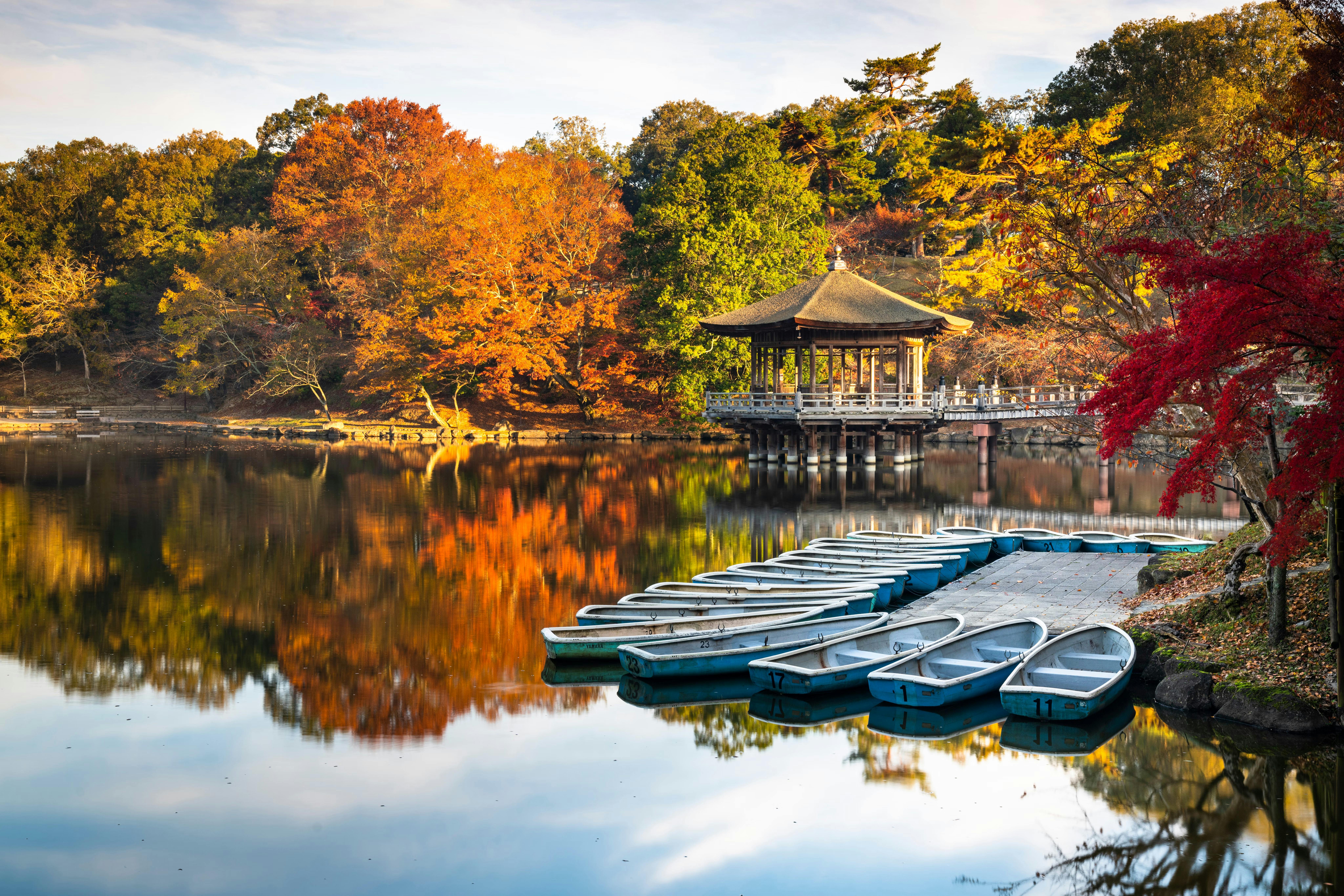 Rowboats lined up at a dock on a calm lake, with vibrant autumn trees and a traditional wooden pavilion reflected in the water.