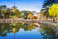 A tranquil pond reflects a traditional Japanese pagoda, trees, and nearby buildings at dusk in Nara, Japan. Soft lights illuminate the peaceful scene, surrounded by greenery and autumn foliage.