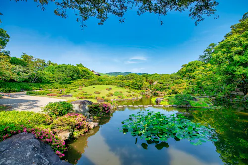 A serene Japanese garden with a pond featuring water lilies, trimmed bushes, blooming flowers, rocks, and lush green trees under a bright blue sky with distant hills in the background.