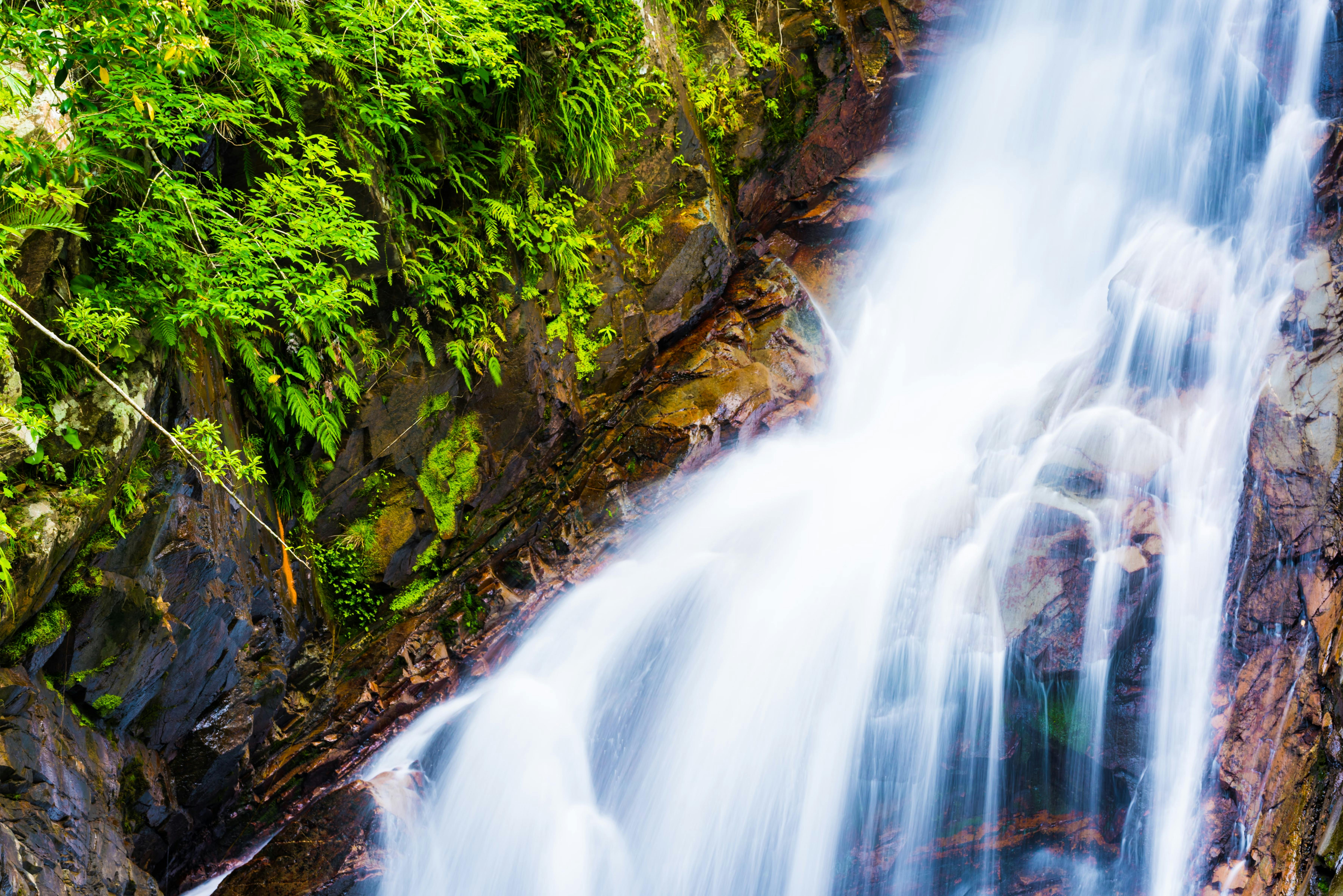 A close-up view of a waterfall cascading over rocks, with vibrant green ferns and moss growing on the rocky cliff beside the flowing water.