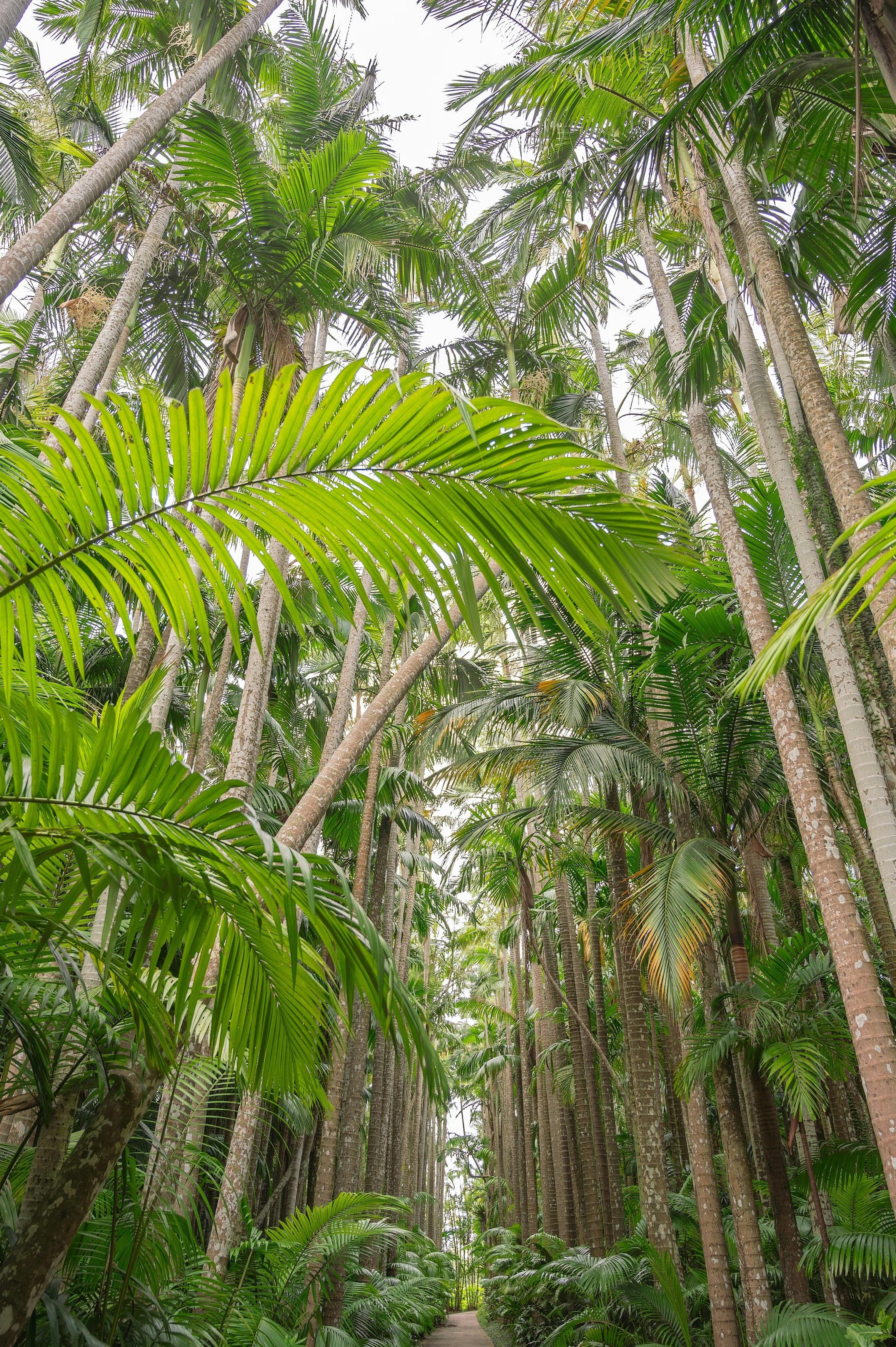 Southeast Botanical Gardens