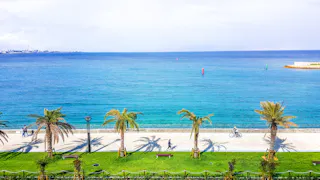 A seaside promenade with palm trees, green grass, and a walking path beside clear blue water. People are jogging and biking along the path under a bright sky.