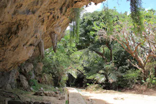 A rocky cliff with hanging stalactites overlooks a sunlit path surrounded by lush green trees and tropical plants. The sky is partly visible through the foliage.