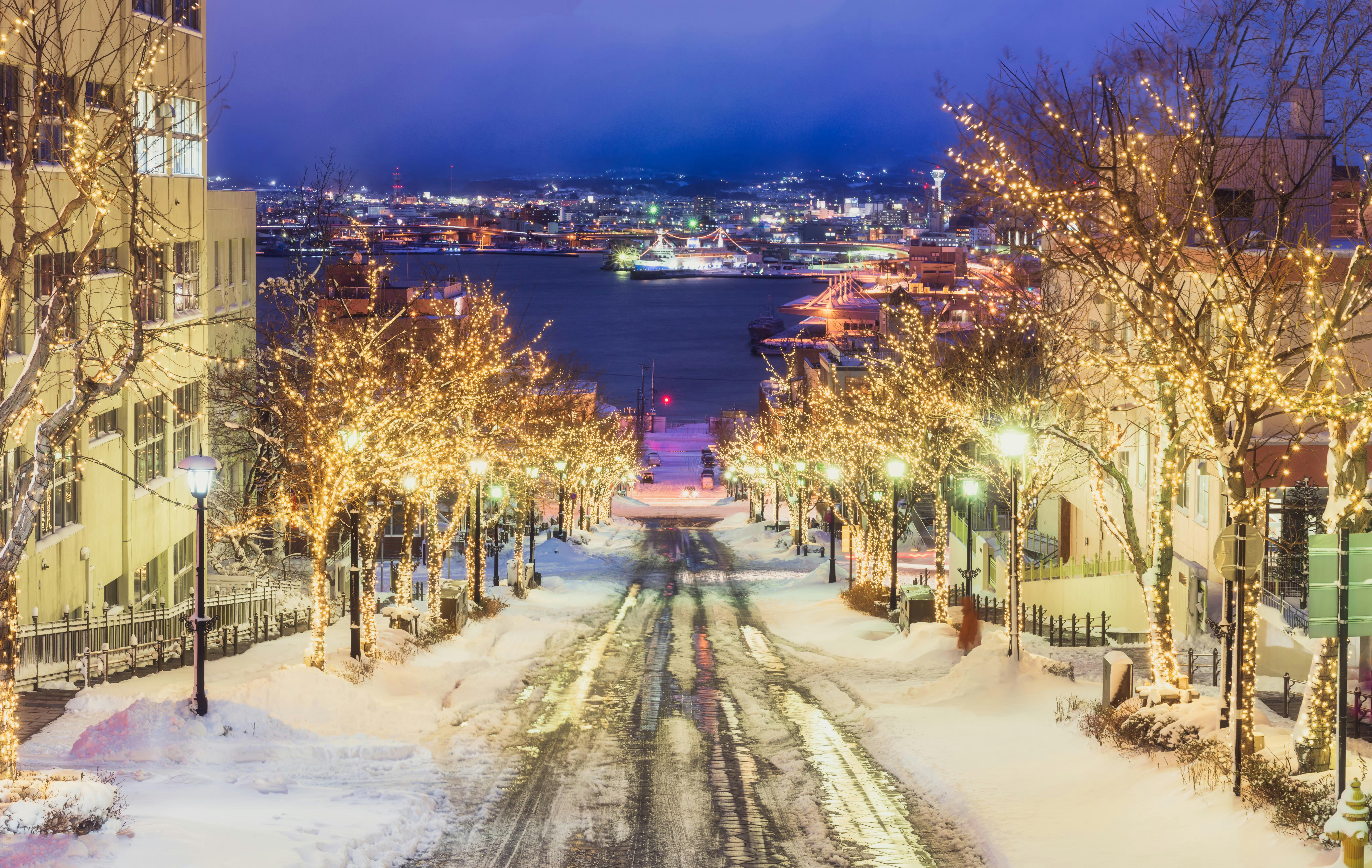 A snowy street lined with trees decorated in glowing string lights, leading down to a harbor with brightly lit buildings and ships at dusk.